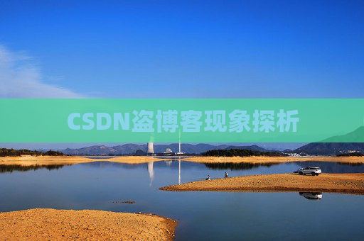 CSDN盗博客现象探析